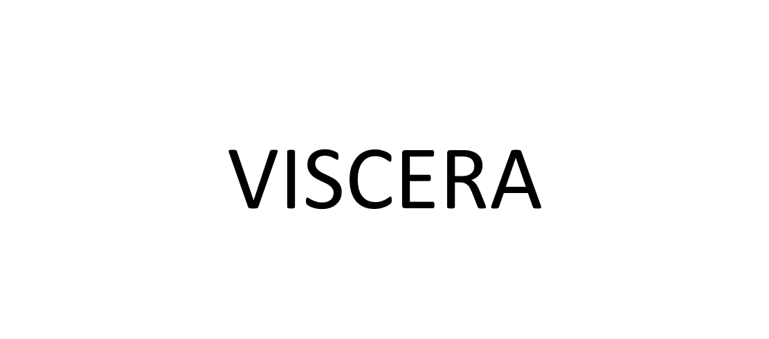 VISCERA