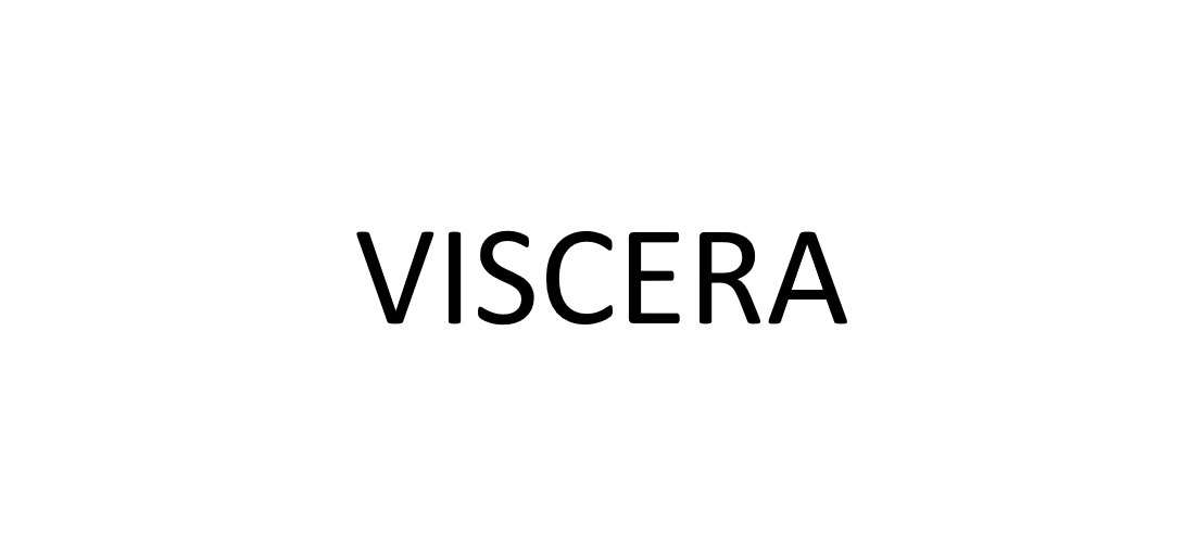 VISCERA