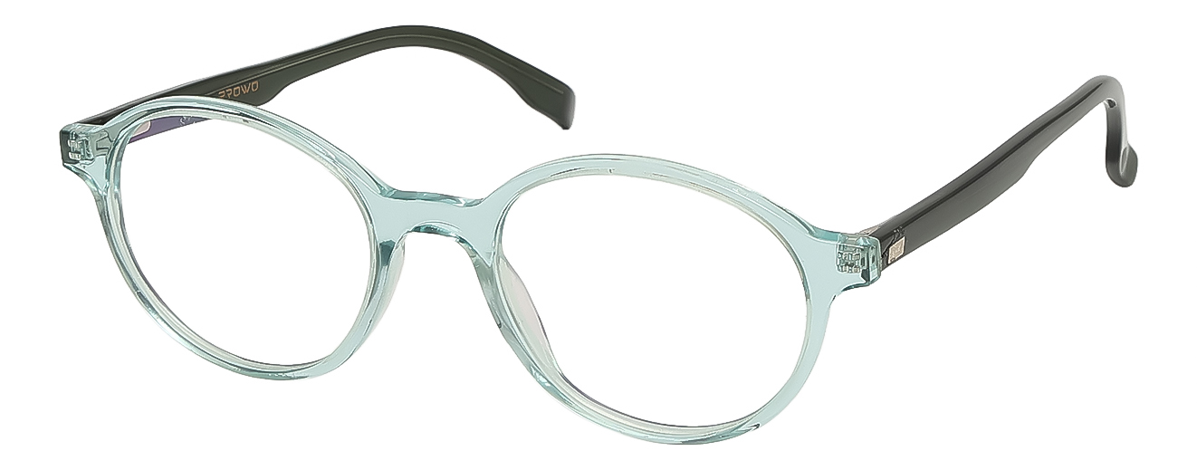 ROUND	EYEGLASSES		FULL RIM	MEDIUM	SIZE 50	ACETATE	PROWO	P34