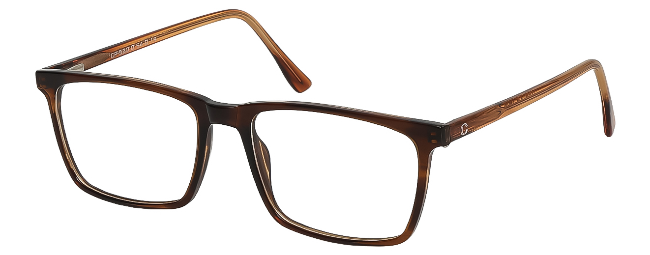 RECTANGLE	EYEGLASSES		FULL RIM	LARGE	SIZE 54	ACETATE	CAPLER THIN	CP-520