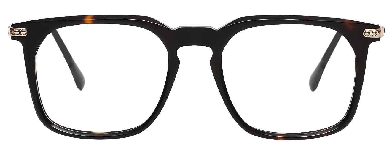 RECTANGLE	EYEGLASSES		FULL RIM	LARGE	SIZE 53	RICH ACETATE	SPECKY	120255J