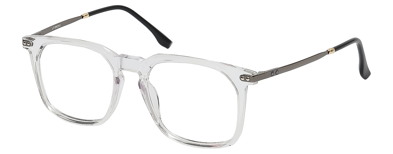 RECTANGLE	EYEGLASSES		FULL RIM	LARGE	SIZE 53	RICH ACETATE	SPECKY	120255J