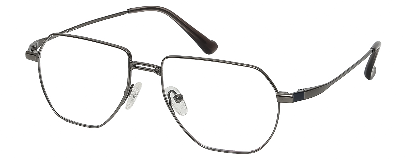 AVIATOR	EYEGLASSES		FULLRIM	MEDIUM	SIZE 50	TITANIUM	SPECKY	P2206